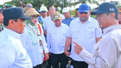 Mentan Arman Tinjau Food Estate di Kapuas, 75 Ribu Hektar Sudah Direncanakan